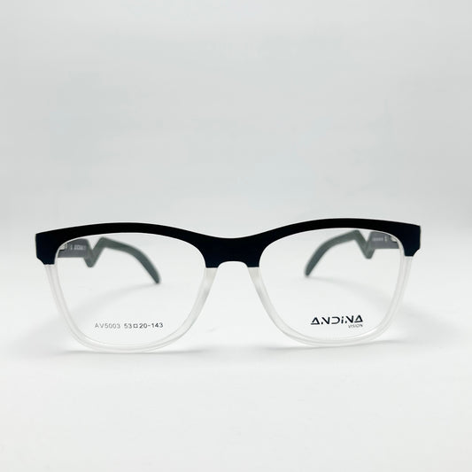 AV5003-2181