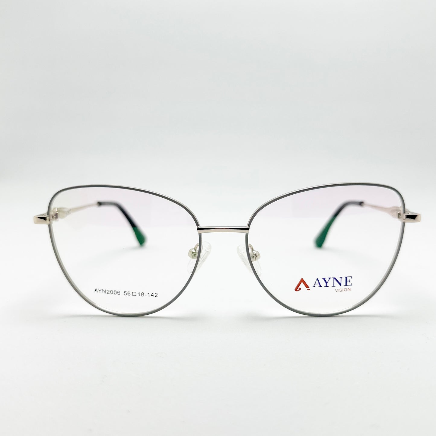 AYN2006-1895