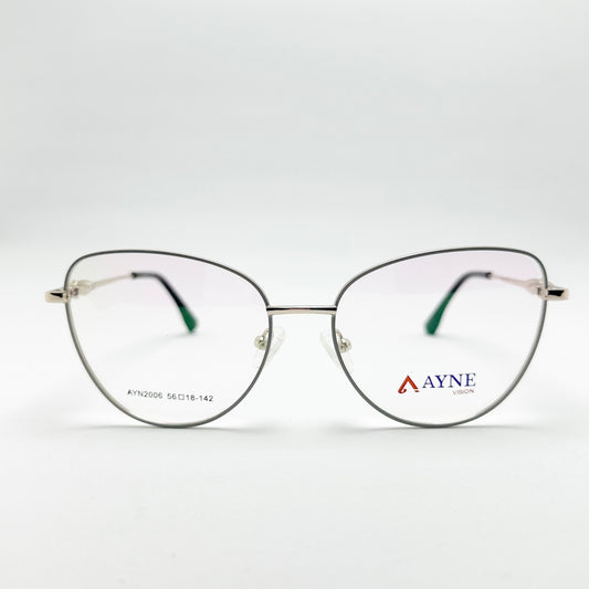 AYN2006-1895
